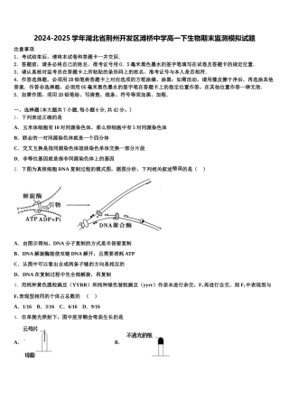 2024-2025学年湖北省荆州开发区滩桥中学高一下生物期末监测模拟试题含解析