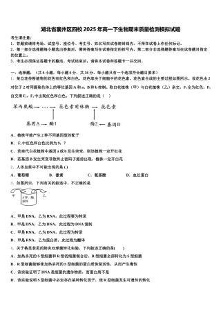 湖北省襄州区四校2025年高一下生物期末质量检测模拟试题含解析