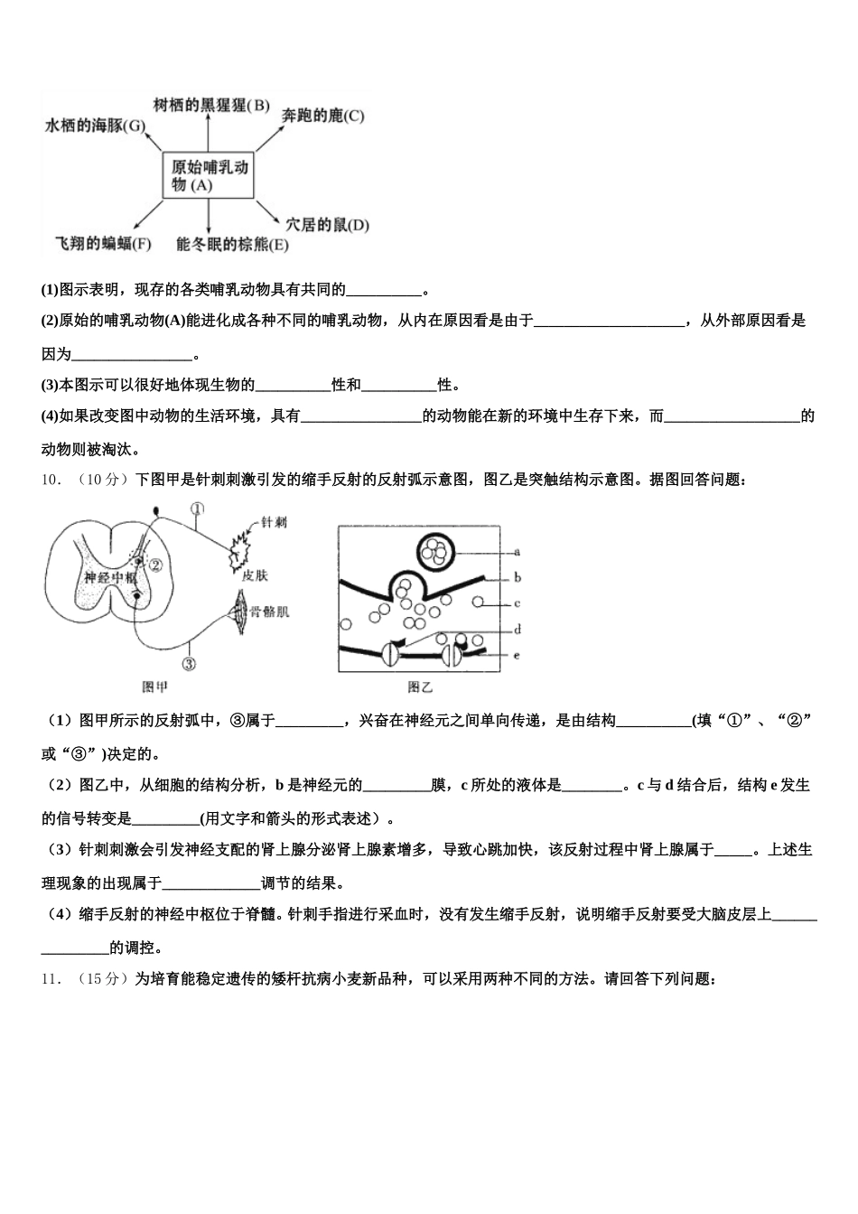 2025届湖北黄冈高一下生物期末学业水平测试模拟试题含解析_第3页