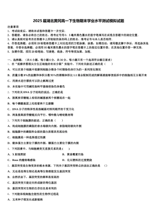 2025届湖北黄冈高一下生物期末学业水平测试模拟试题含解析
