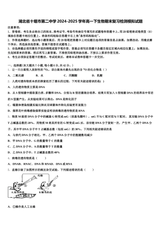 湖北省十堰市第二中学2024-2025学年高一下生物期末复习检测模拟试题含解析