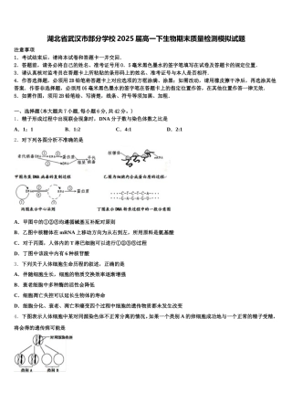 湖北省武汉市部分学校2025届高一下生物期末质量检测模拟试题含解析