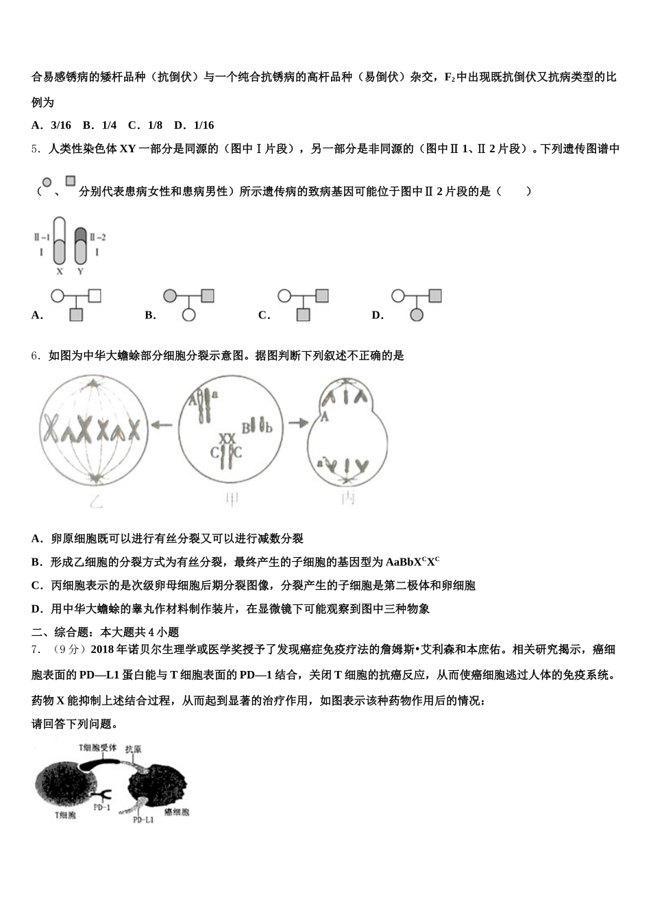 2025年湖北省华师大附中生物高一第二学期期末达标测试试题含解析_第2页