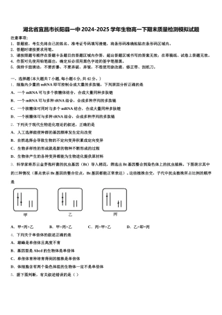湖北省宜昌市长阳县一中2024-2025学年生物高一下期末质量检测模拟试题含解析