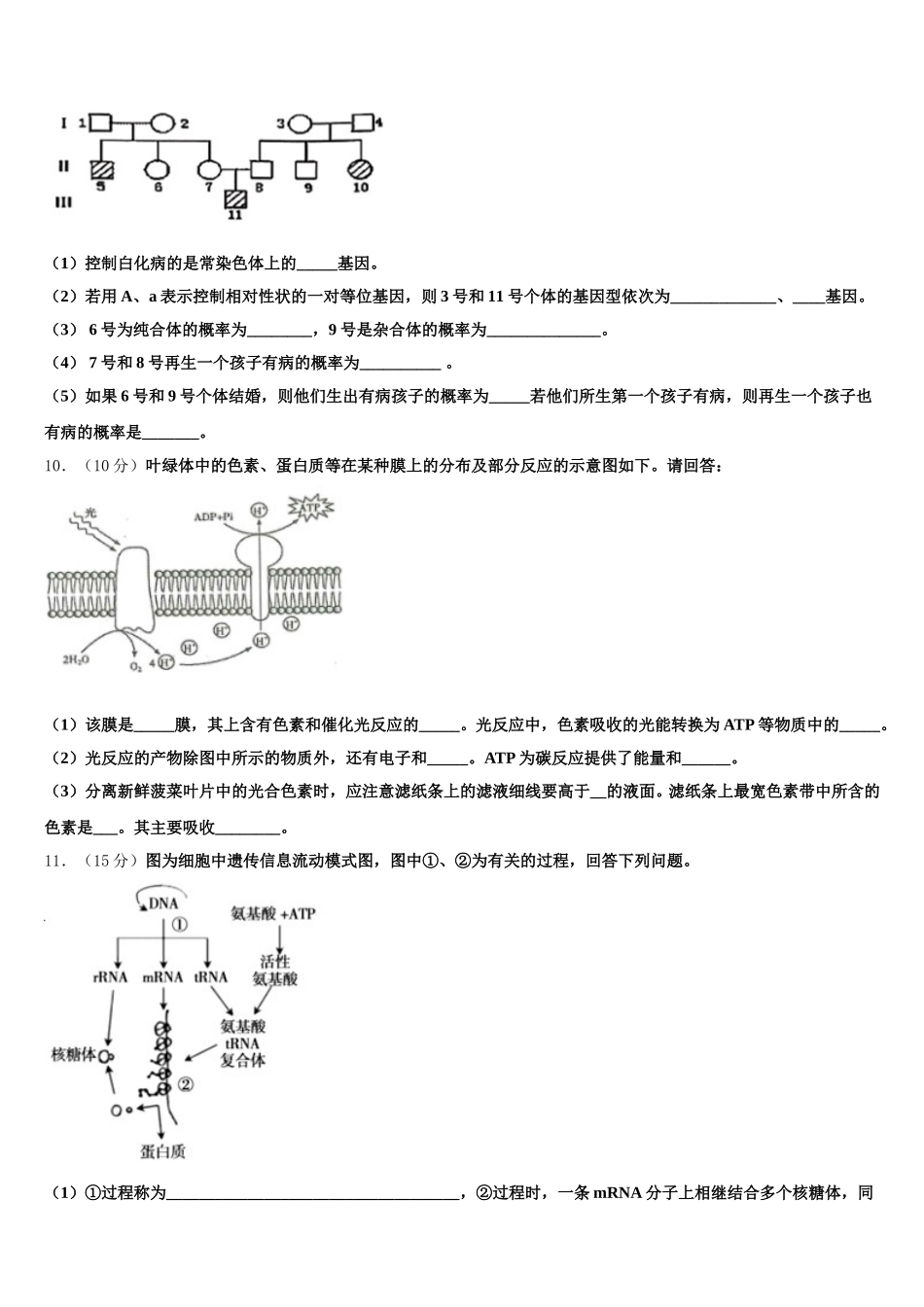 湖北省孝感市第一高级中学2024-2025学年高一下生物期末质量跟踪监视模拟试题含解析_第3页