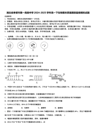 湖北省孝感市第一高级中学2024-2025学年高一下生物期末质量跟踪监视模拟试题含解析