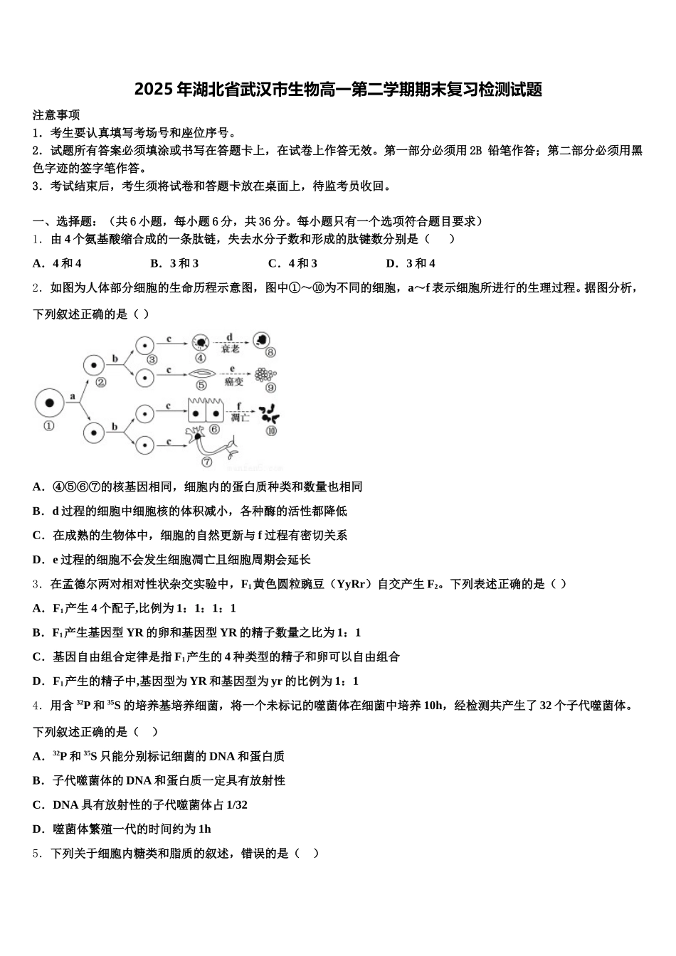 2025年湖北省武汉市生物高一第二学期期末复习检测试题含解析_第1页