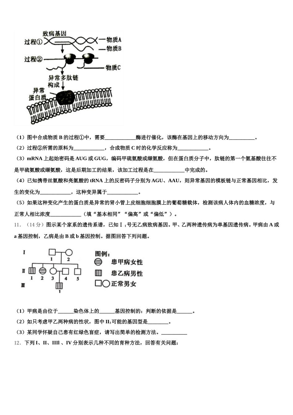 2025年湖北省随州市第二高级中学、郧阳中学高一生物第二学期期末复习检测模拟试题含解析_第3页