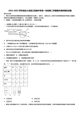 2024-2025学年湖北小池滨江高级中学高一生物第二学期期末调研模拟试题含解析