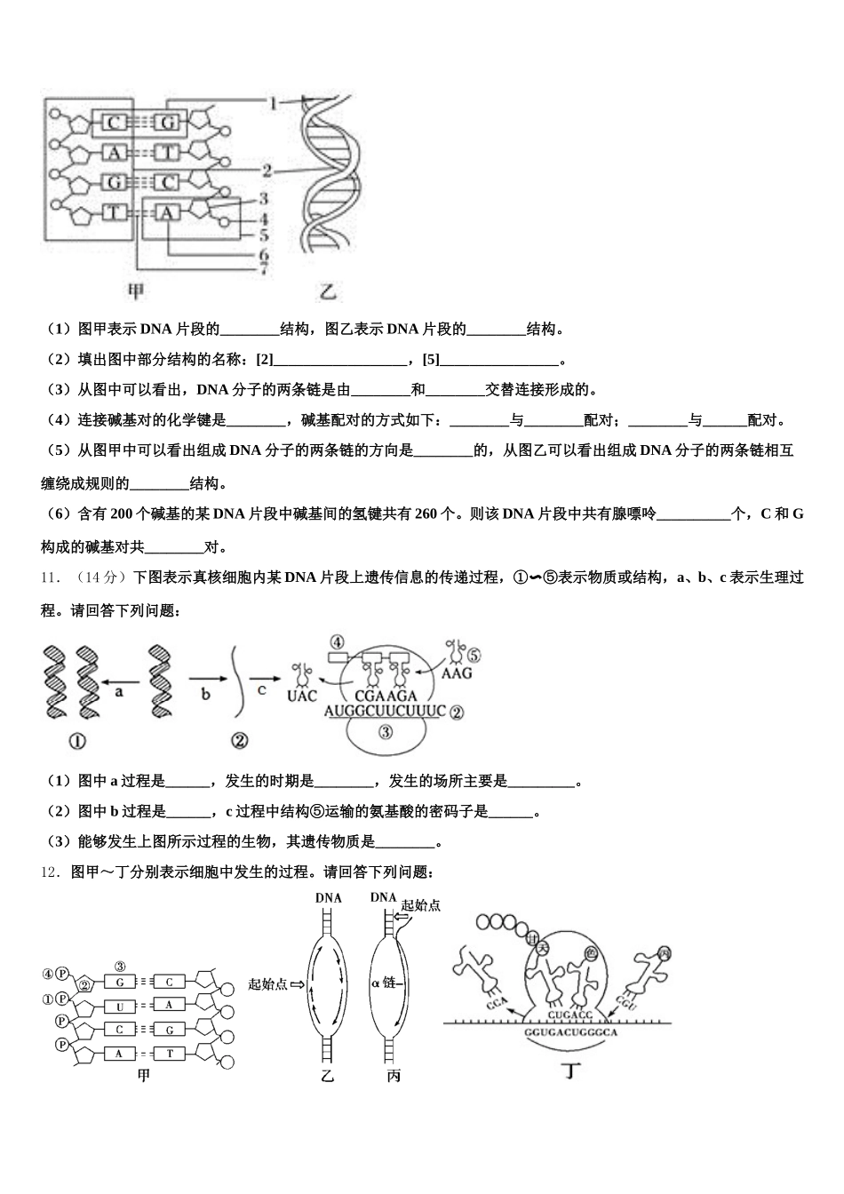 湖北省各地2024-2025学年高一下生物期末质量检测模拟试题含解析_第3页