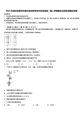 2025年湖北省鄂州市部分高中联考协作体生物高一第二学期期末达标检测模拟试题含解析