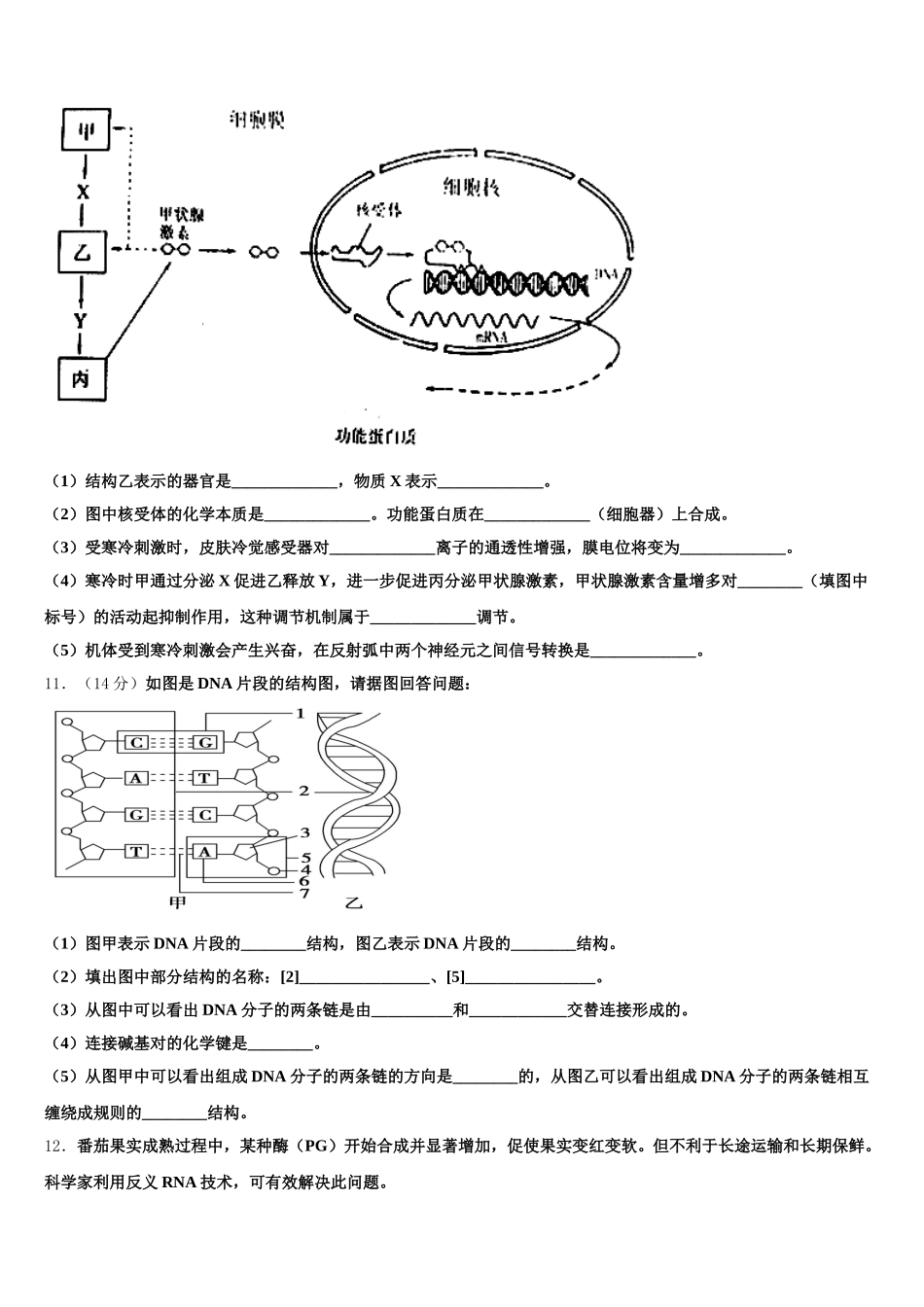 2025届湖北鄂州市高一生物第二学期期末学业水平测试试题含解析_第3页