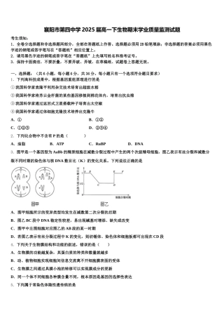 襄阳市第四中学2025届高一下生物期末学业质量监测试题含解析