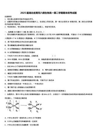 2025届湖北省黄冈八模生物高一第二学期期末统考试题含解析