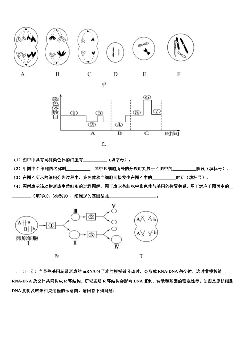 2024-2025学年黄冈市重点中学高一生物第二学期期末学业质量监测模拟试题含解析_第3页