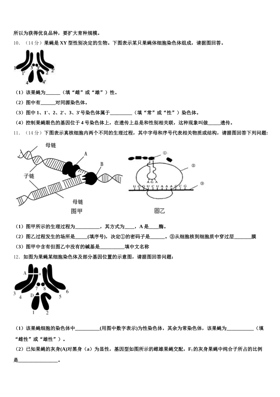 2025届湖北省孝感市汉川市第二中学高一下生物期末统考模拟试题含解析_第3页