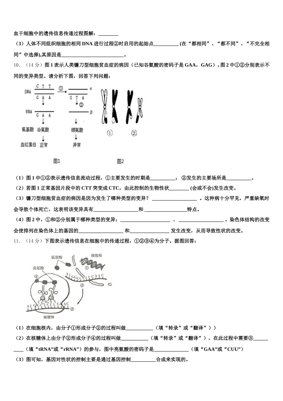 湖北省宜昌金东方高级中学等部分示范学校2024-2025学年高一生物第二学期期末监测模拟试题含解析_第3页