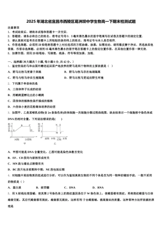 2025年湖北省宜昌市西陵区葛洲坝中学生物高一下期末检测试题含解析