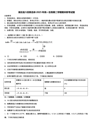 湖北省八校联合体2025年高一生物第二学期期末联考试题含解析