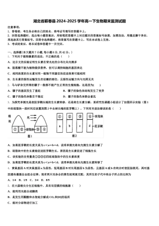 湖北省蕲春县2024-2025学年高一下生物期末监测试题含解析
