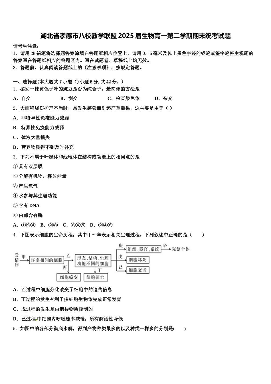 湖北省孝感市八校教学联盟2025届生物高一第二学期期末统考试题含解析_第1页