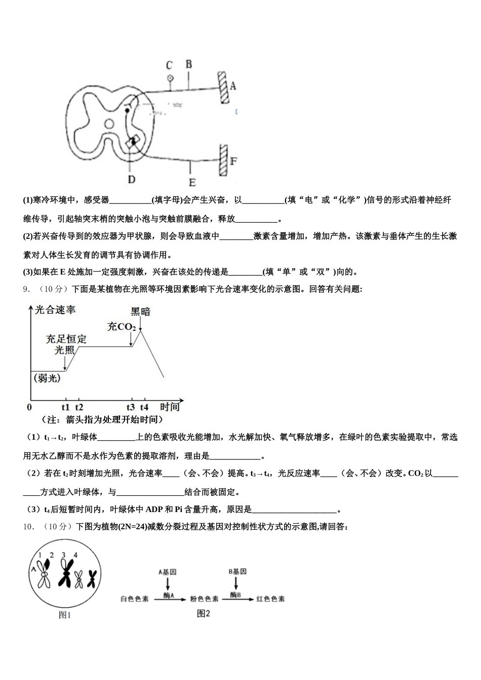 湖北省宜昌金东方高级中学等部分示范学校2024-2025学年高一下生物期末学业质量监测模拟试题含解析_第3页
