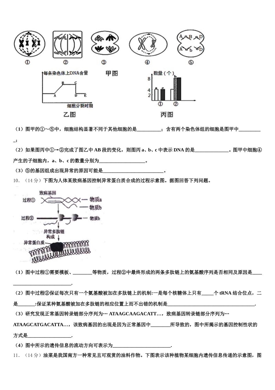 湖北省武汉市常青一中2025年高一下生物期末经典试题含解析_第3页