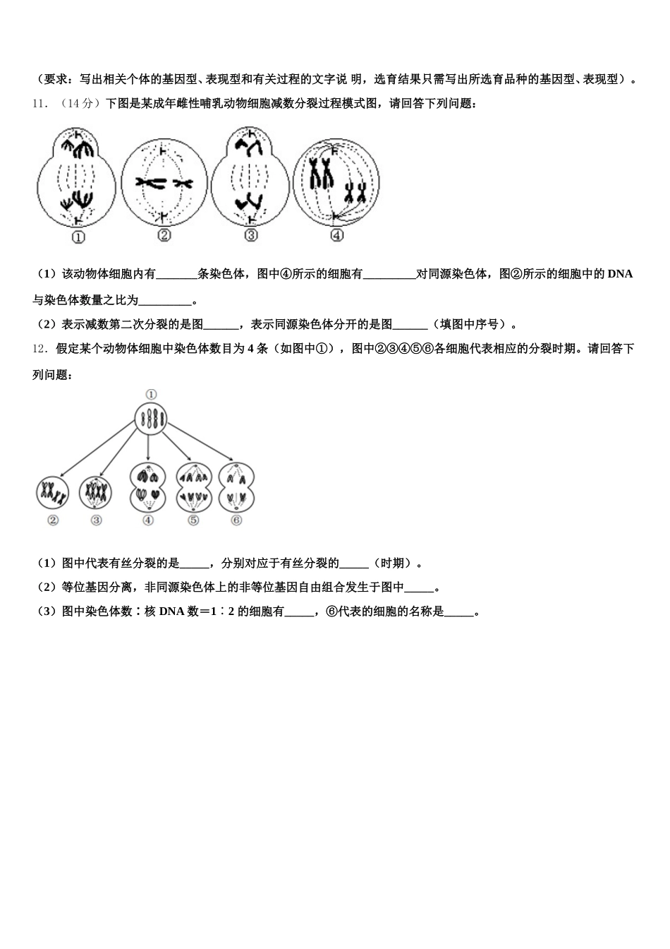 2025届湖北省武汉市第六中学高一生物第二学期期末复习检测模拟试题含解析_第3页