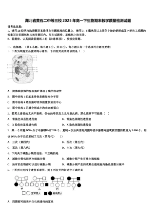 湖北省黄石二中等三校2025年高一下生物期末教学质量检测试题含解析
