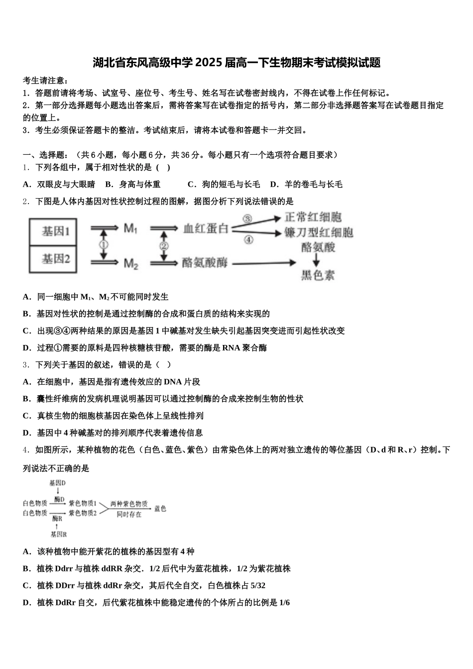 湖北省东风高级中学2025届高一下生物期末考试模拟试题含解析_第1页