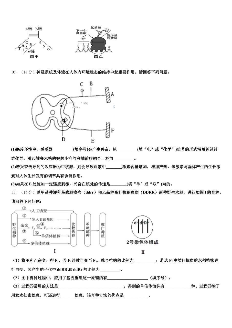 湖北省武汉市汉口北高中2025年高一下生物期末调研试题含解析_第3页