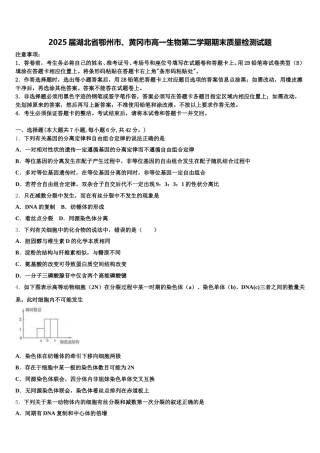 2025届湖北省鄂州市、黄冈市高一生物第二学期期末质量检测试题含解析