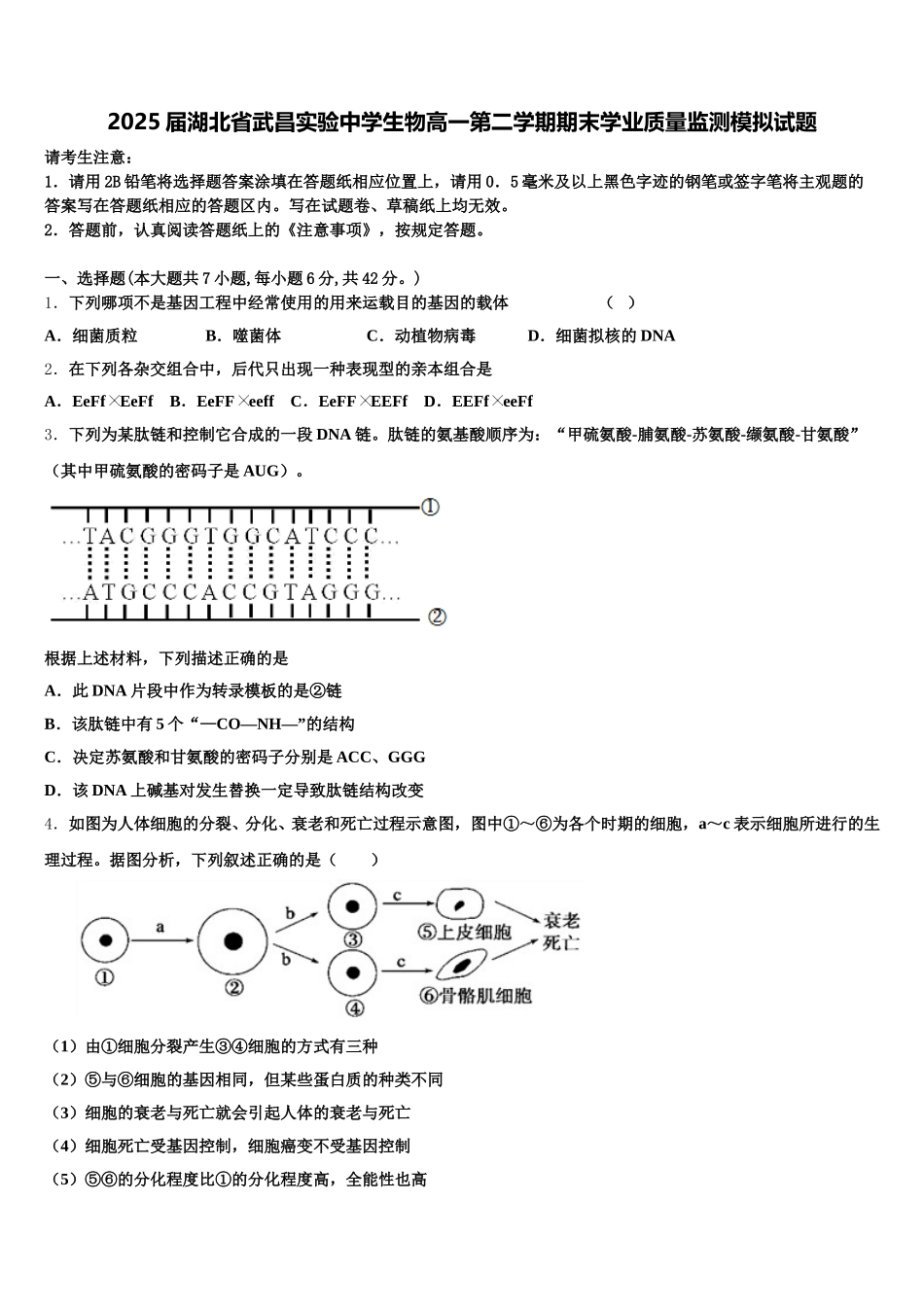 2025届湖北省武昌实验中学生物高一第二学期期末学业质量监测模拟试题含解析_第1页