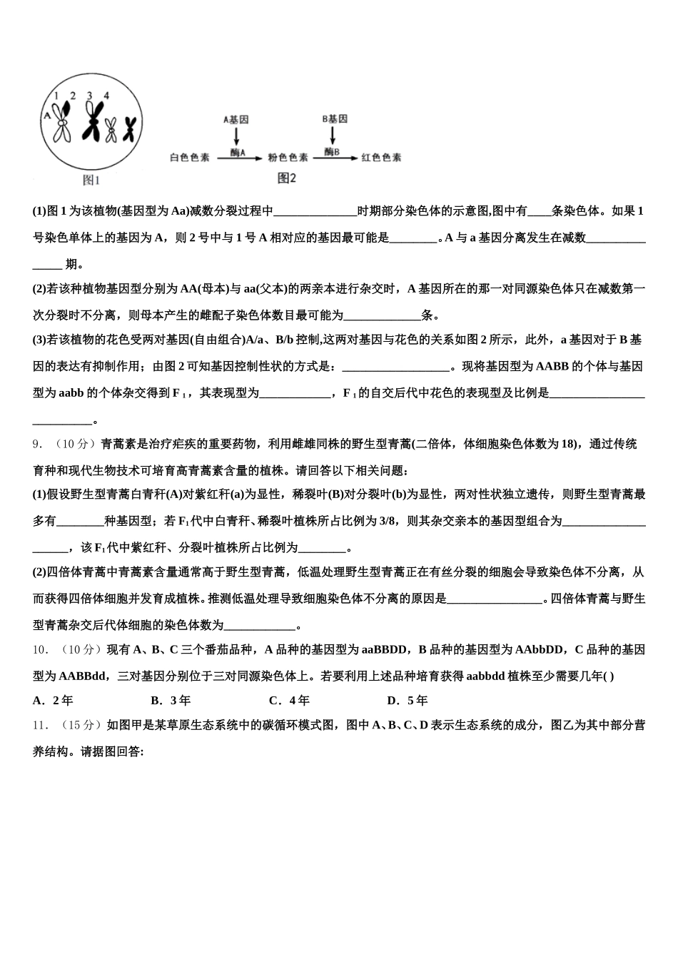 2024-2025学年湖北省宜昌市西陵区葛洲坝中学高一下生物期末联考试题含解析_第3页