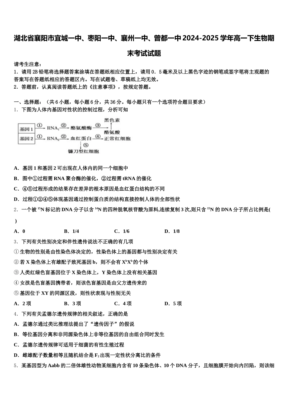 湖北省襄阳市宜城一中、枣阳一中、襄州一中、曾都一中2024-2025学年高一下生物期末考试试题含解析_第1页