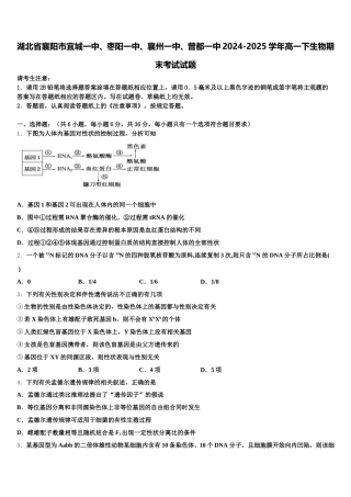 湖北省襄阳市宜城一中、枣阳一中、襄州一中、曾都一中2024-2025学年高一下生物期末考试试题含解析