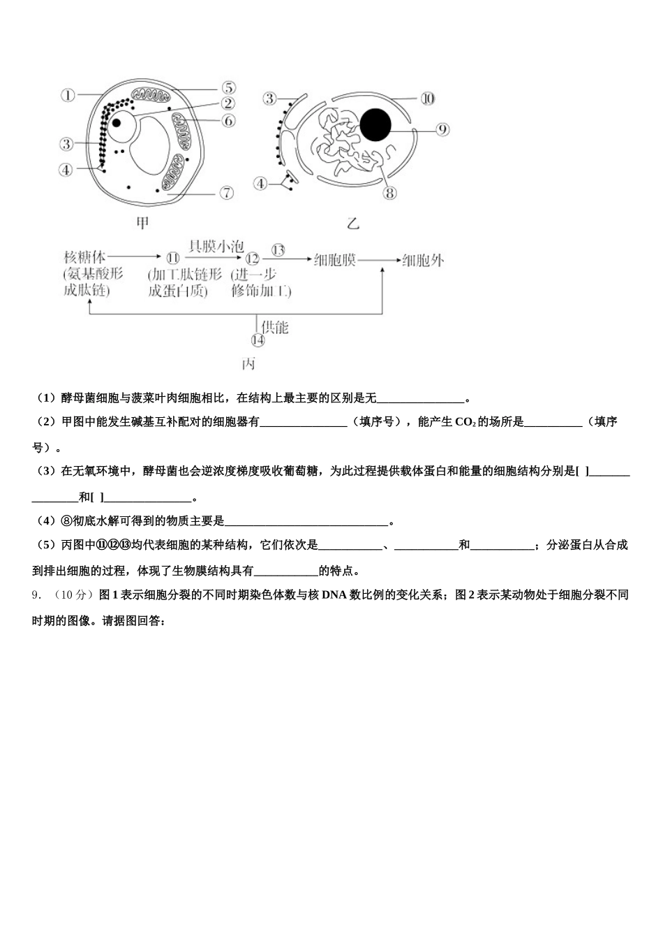 2024-2025学年湖北省孝感市孝南区高一下生物期末复习检测模拟试题含解析_第3页