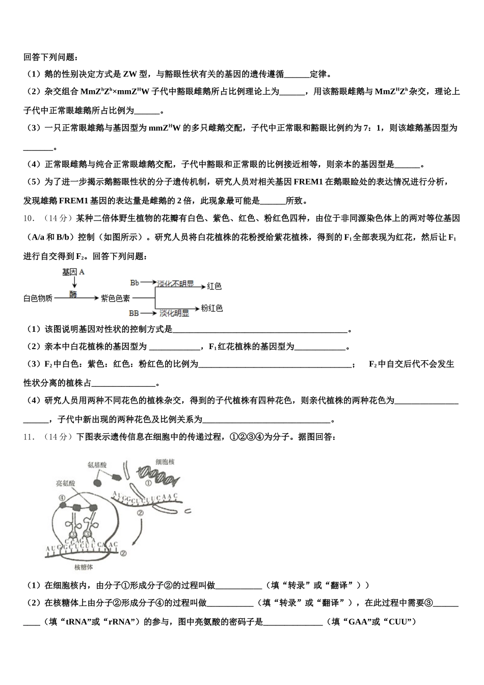 湖北省宜昌市协作体2024-2025学年生物高一第二学期期末联考模拟试题含解析_第3页
