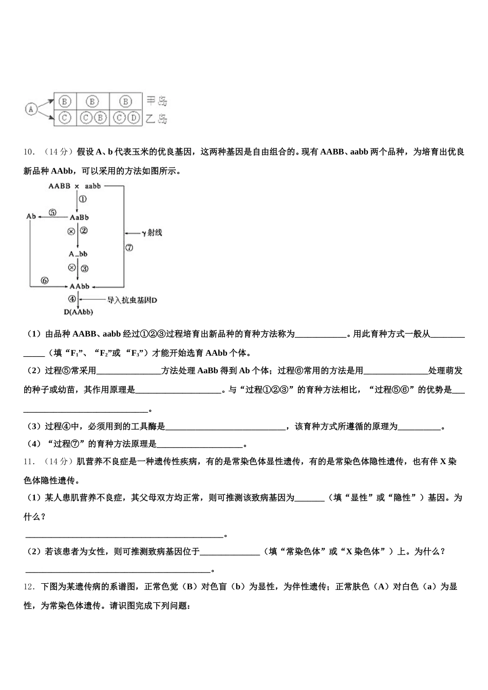 2025届湖北省汉阳一中生物高一下期末调研模拟试题含解析_第3页
