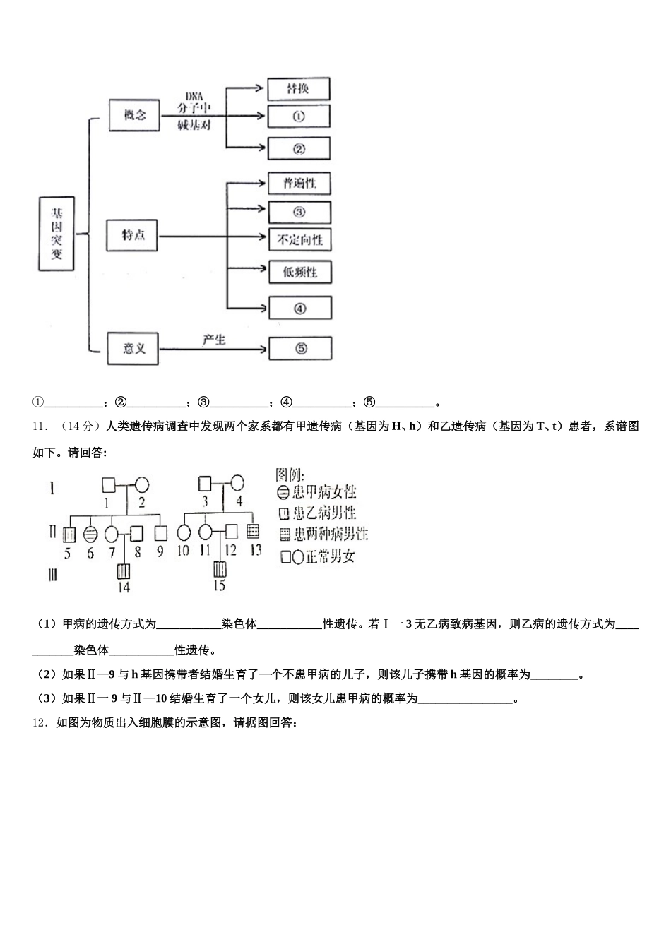 湖北省四地七校考试联盟2024-2025学年生物高一下期末调研模拟试题含解析_第3页