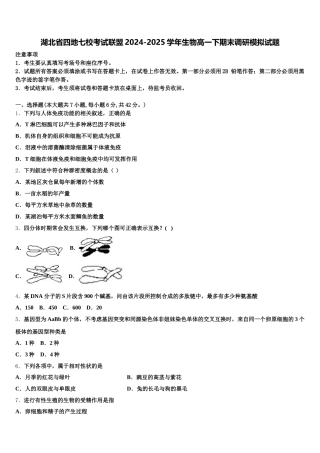 湖北省四地七校考试联盟2024-2025学年生物高一下期末调研模拟试题含解析