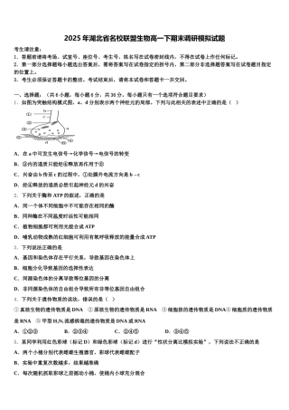 2025年湖北省名校联盟生物高一下期末调研模拟试题含解析