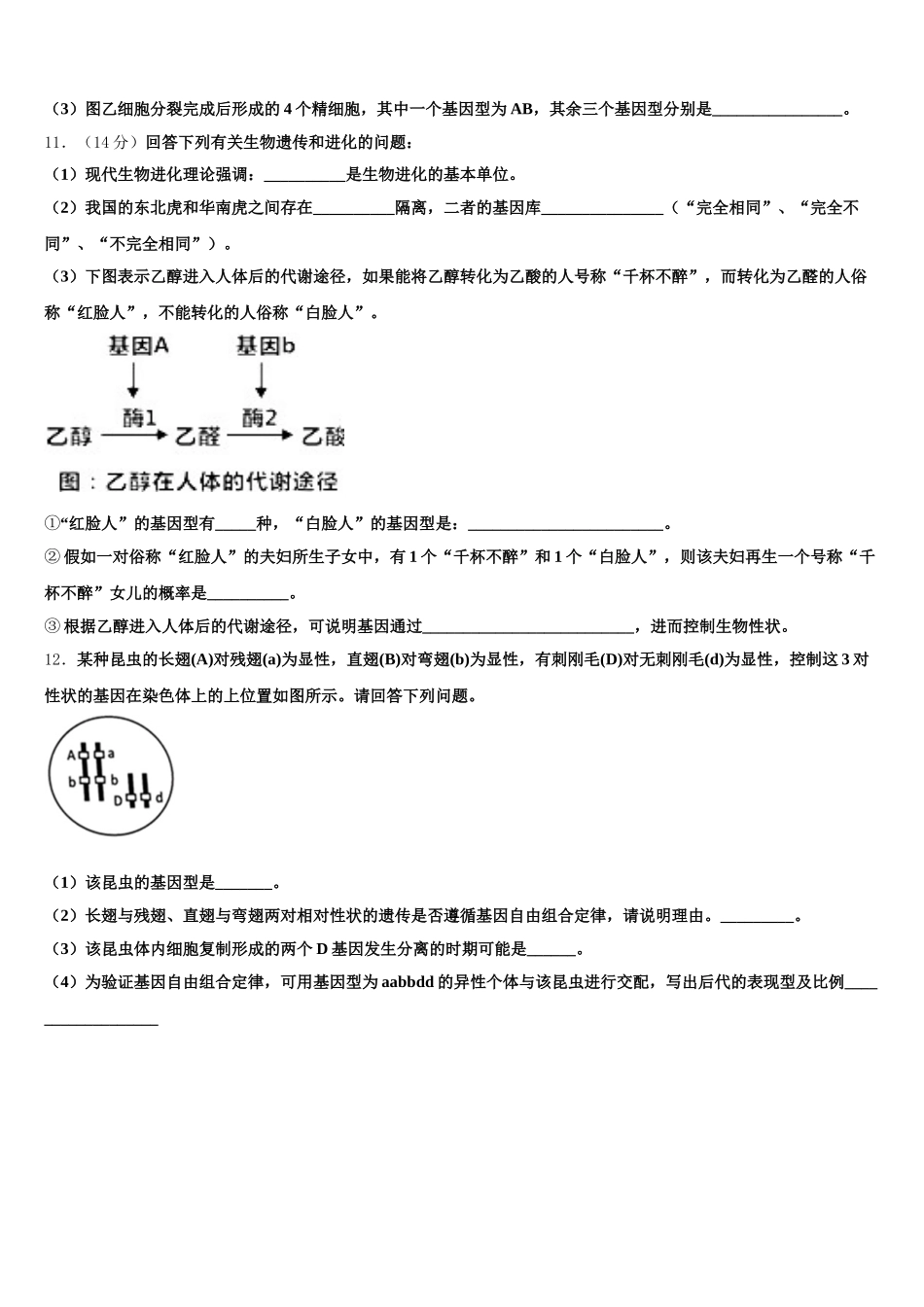 2024-2025学年湖北省黄冈市麻城实验高中生物高一下期末达标测试试题含解析_第3页
