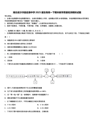 湖北省沙洋县后港中学2025届生物高一下期末教学质量检测模拟试题含解析