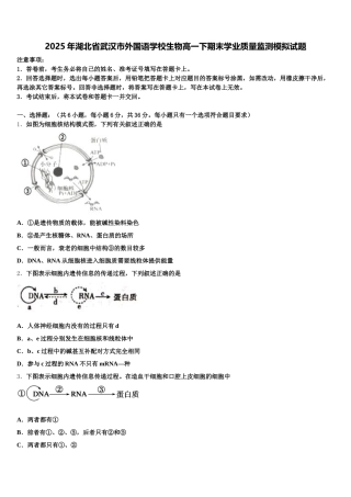 2025年湖北省武汉市外国语学校生物高一下期末学业质量监测模拟试题含解析