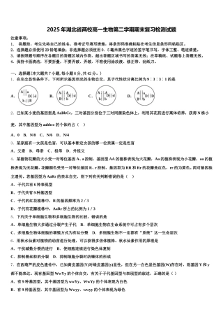 2025年湖北省两校高一生物第二学期期末复习检测试题含解析