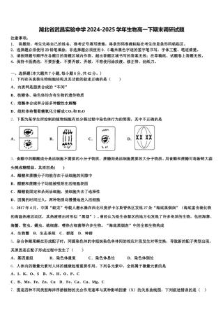 湖北省武昌实验中学2024-2025学年生物高一下期末调研试题含解析