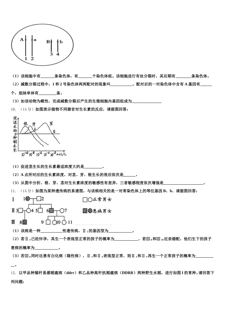 2025届湖北省孝感市文昌中学生物高一下期末经典试题含解析_第3页