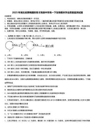 2025年湖北省黄梅国际育才高级中学高一下生物期末学业质量监测试题含解析