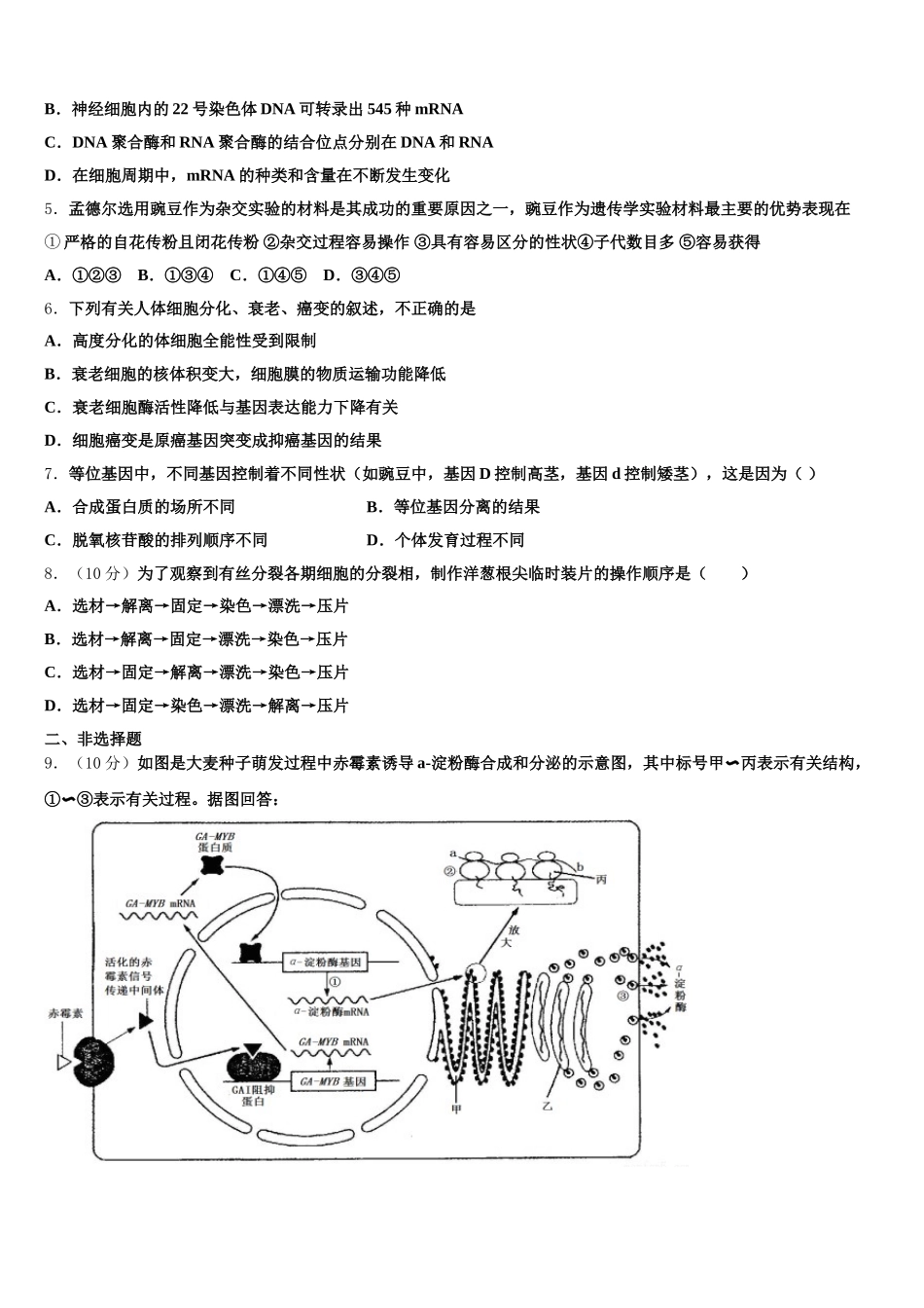 湖北省八市2025年生物高一下期末质量跟踪监视模拟试题含解析_第2页